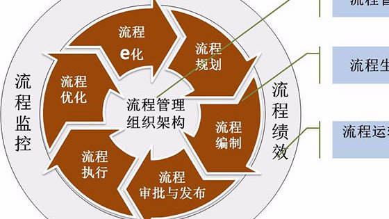 如何优化行政流程以提高效率